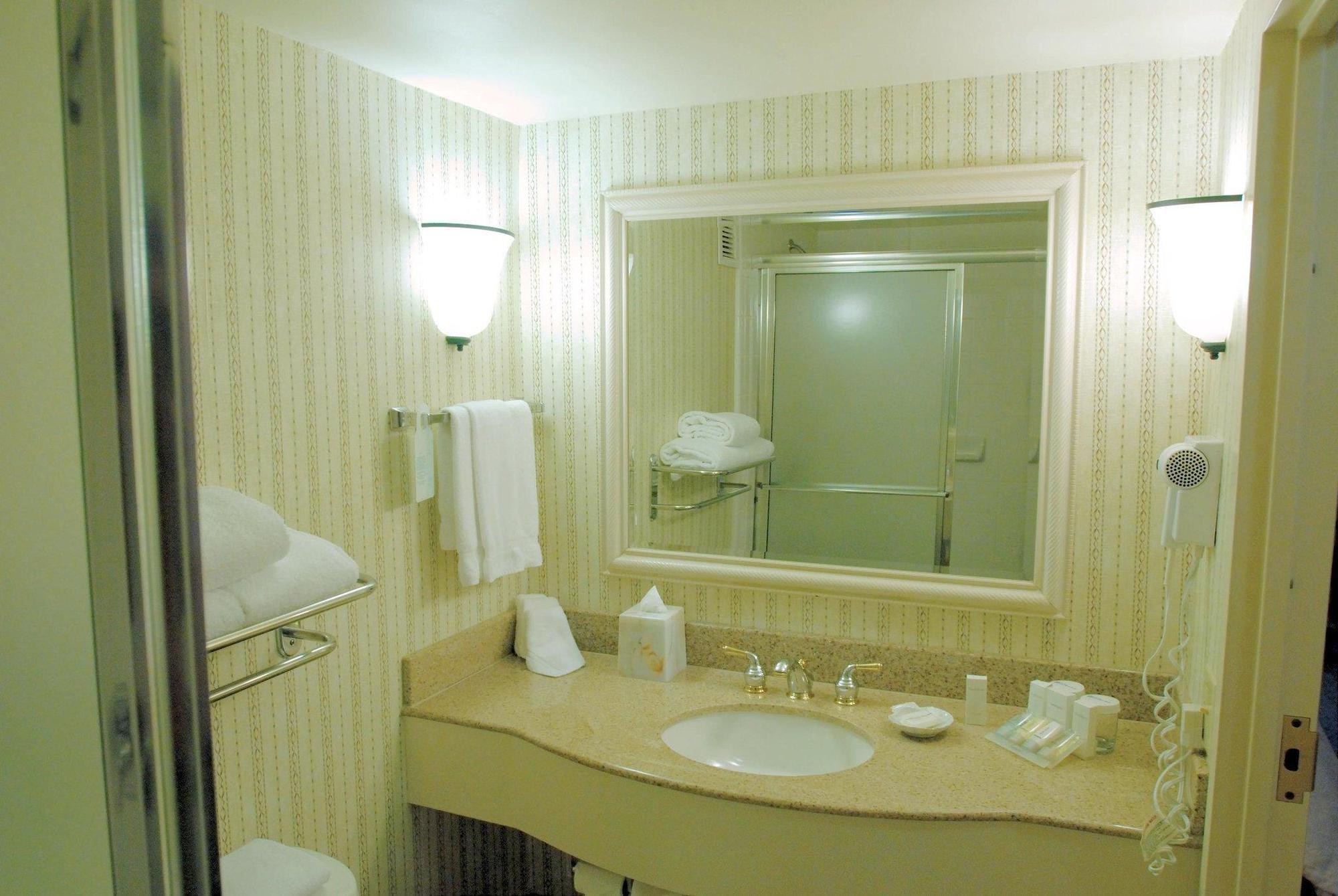 Hilton Garden Atlanta North/johns Creek 3*