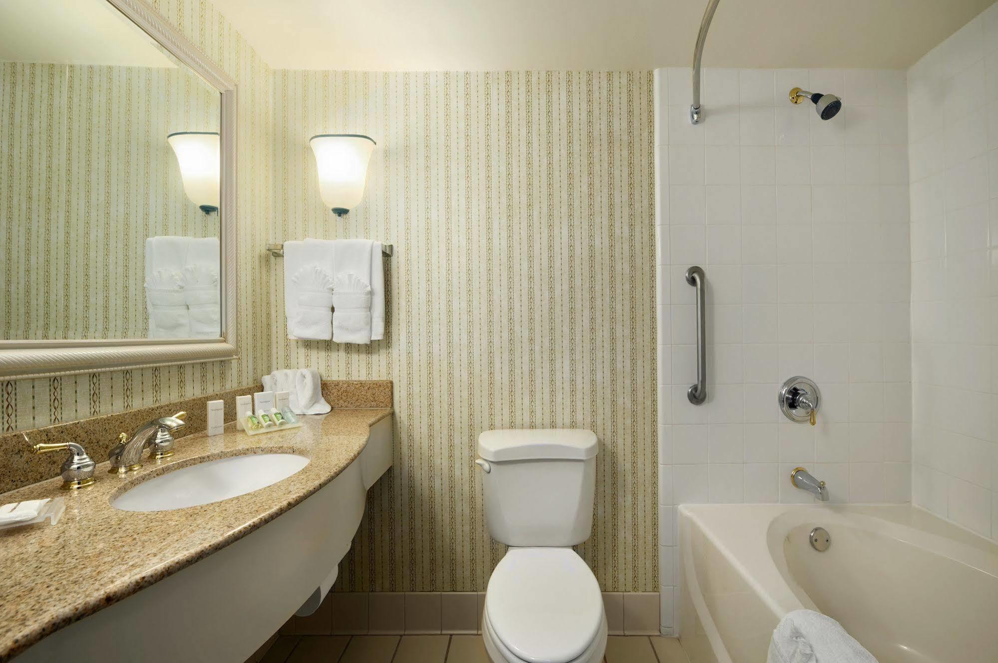 Hotel Hilton Garden Atlanta North/johns Creek Johns Creek