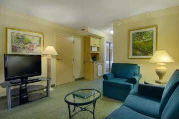 Hotel Hilton Garden Atlanta North/johns Creek Johns Creek